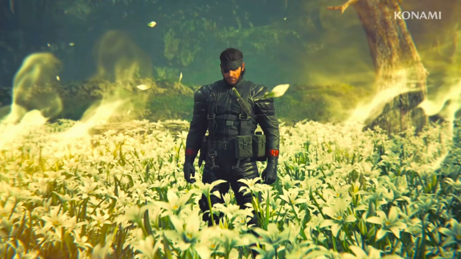 Metal Gear Solid Delta