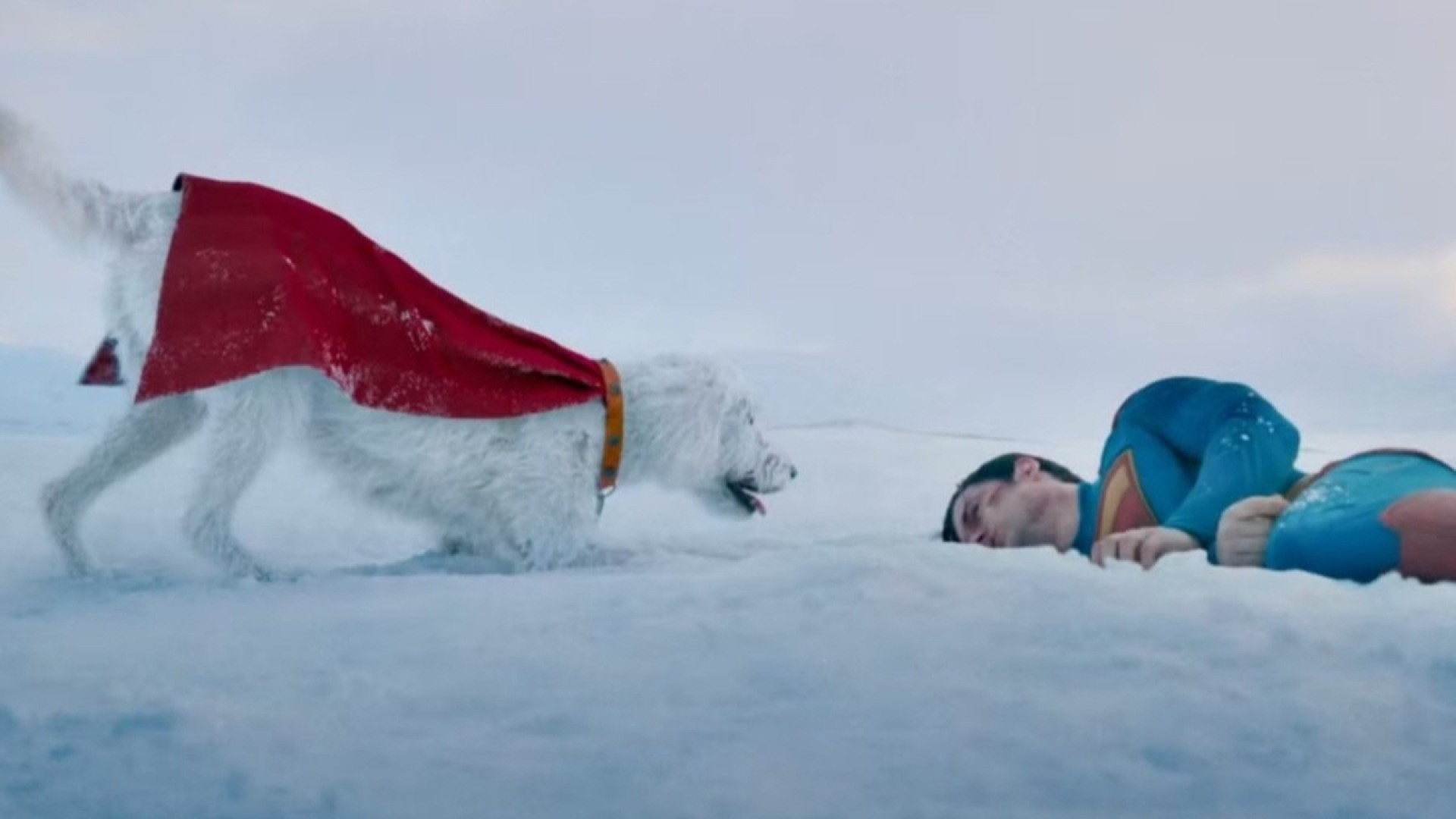 Krypto Superman