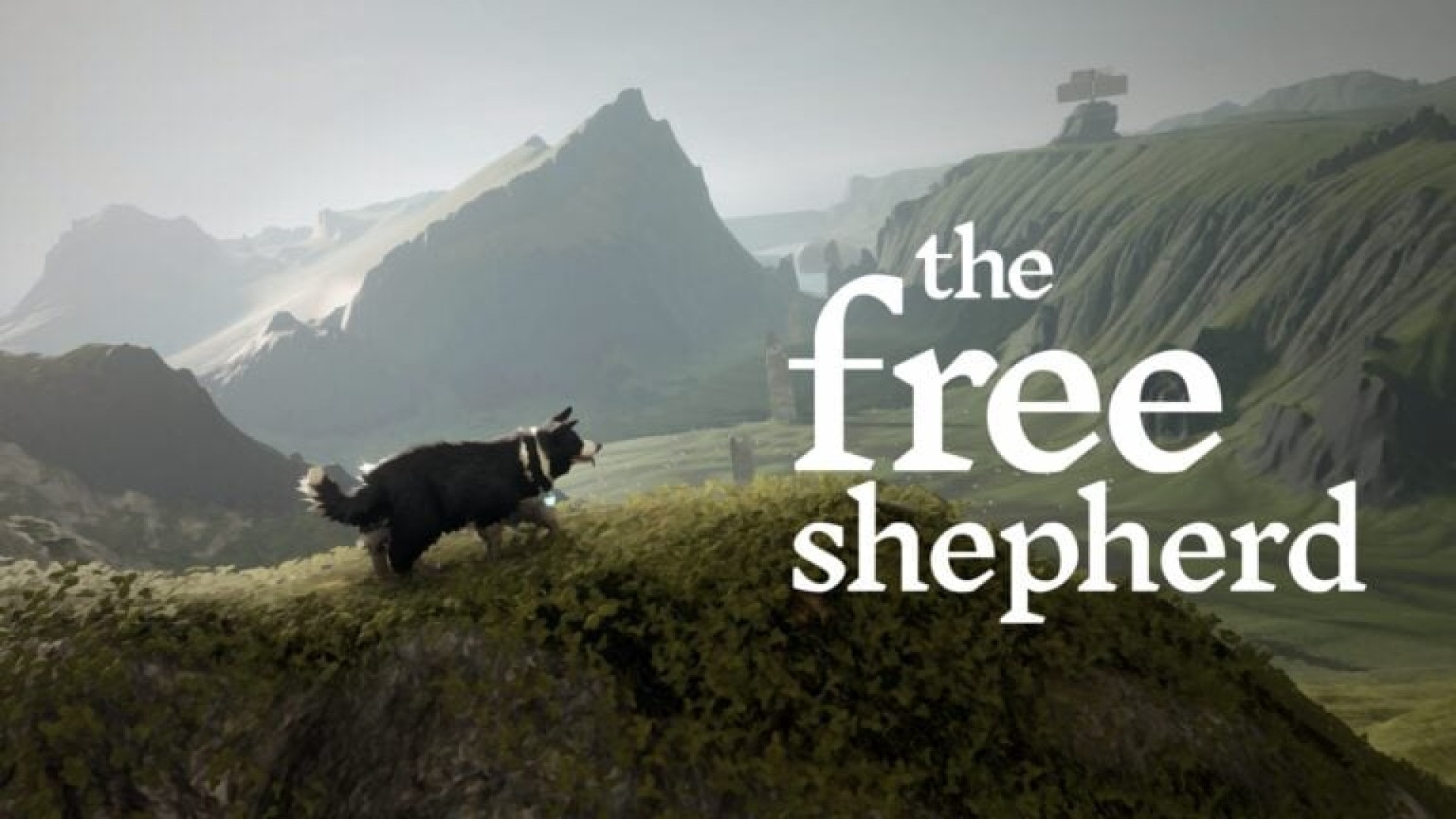 The Free Shepherd novo jogo