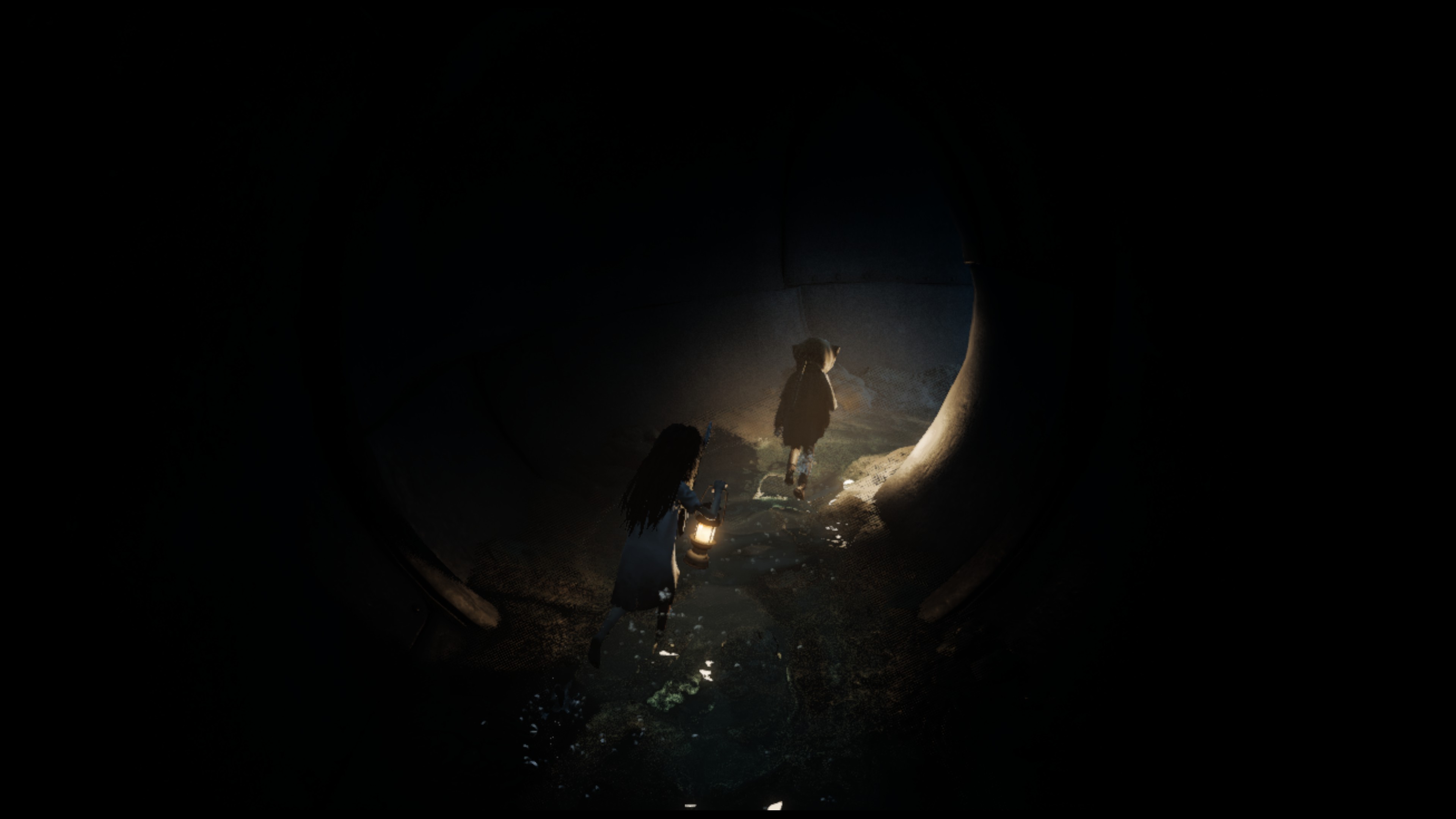 Reanimal review